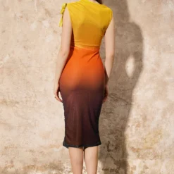 Ombre Print Mesh Ruched Drawstring Midi Dress -Women's Clothing Store 5239e52e 546a 4019 8a26 5bc350745bde