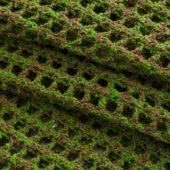 Knit Hollow Out Tie Back Short-Sleeve Top -Women's Clothing Store 89ca6a3d 7b24 424f 93a7 9f6b2a63395c