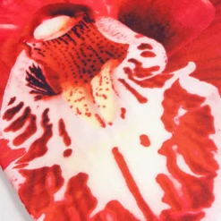 Floral Print Strapless Maxi Dress -Women's Clothing Store a4036d6a c8f8 4b86 b0b7 3c483e248fc4